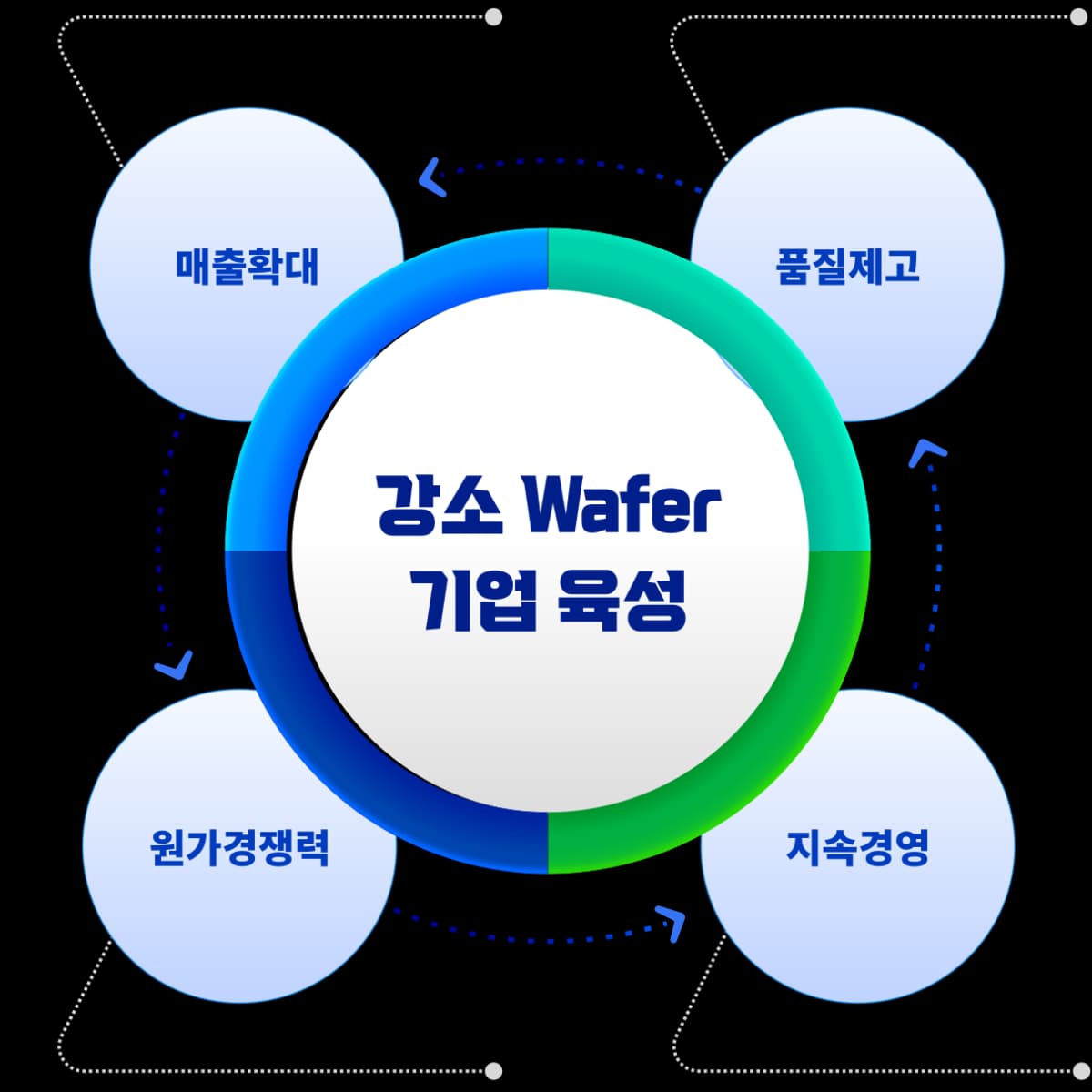 강소 Wafer 기업 육성